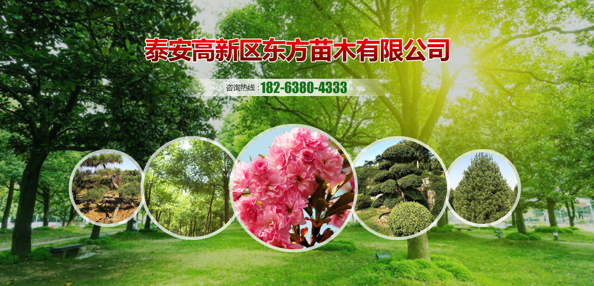 泰安市華信鍋爐有限公司 