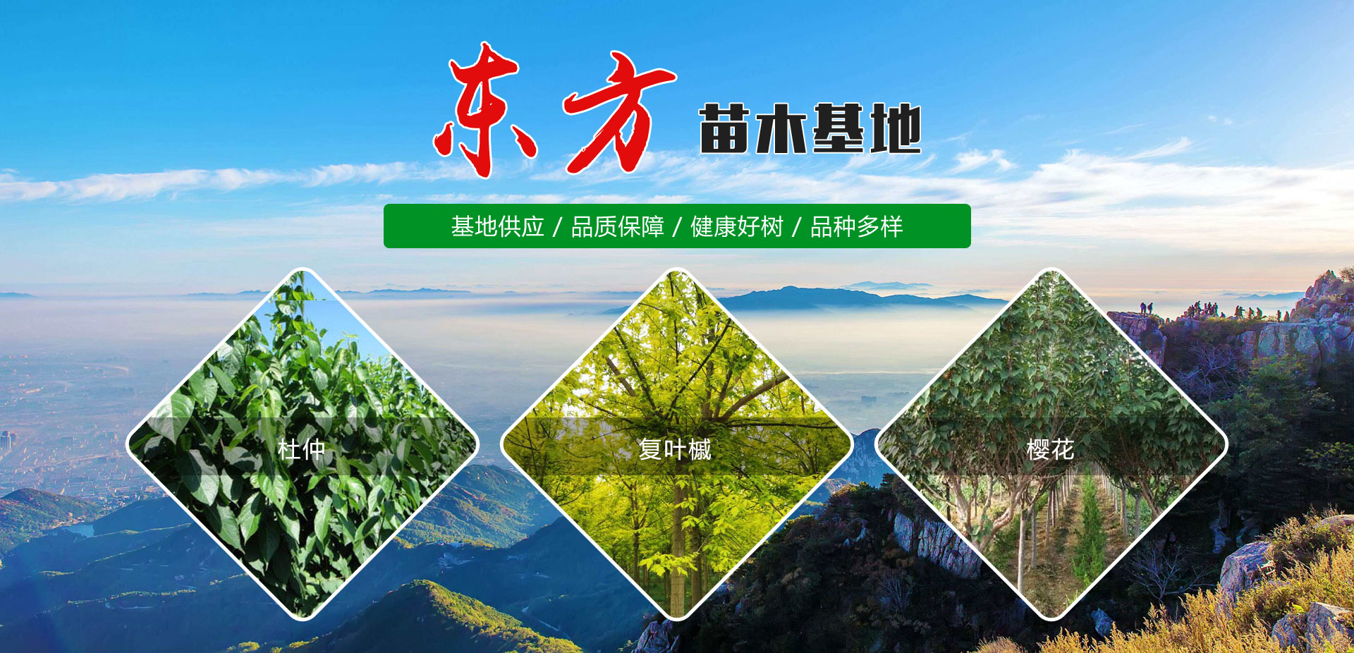 泰安市華信鍋爐有限公司 